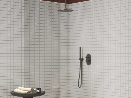 Esőztető zuhanyfej köralakú, 250 mm 980.20GB , Graphite Brushed