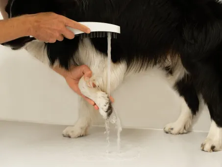 Kézi zuhany kutyáknak, 4 funkciós, 949.10WHM, matt fehér