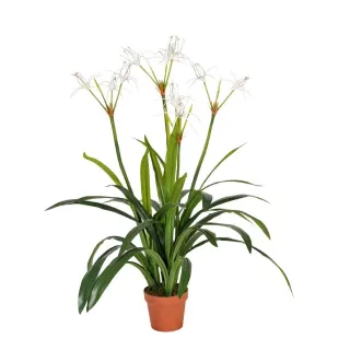 Pókliliom műnövény 110cm