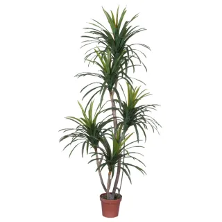 Yucca pálma műnövény 185cm
