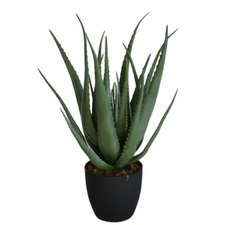Aloe Vera műnövény 69cm
