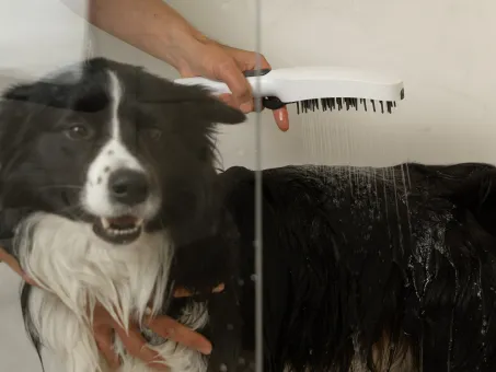 Kézi zuhany kutyáknak, 4 funkciós, 949.10WHM, matt fehér