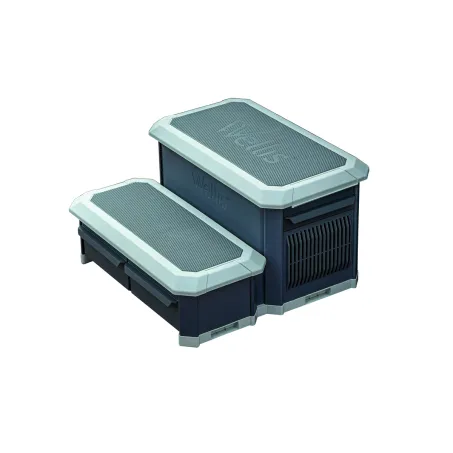 Wellis Smart-In-Step