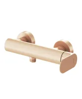 Eleganta fali zuhanycsaptelep szett nélkül EL 032.60RGB, Rose Gold Brushed